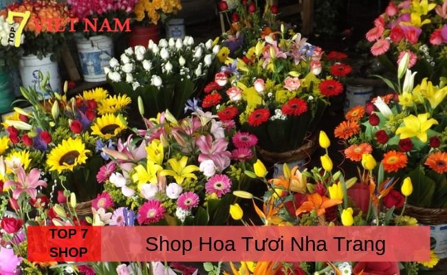 Top 7 Shop Hoa Nha Trang Khánh Hòa