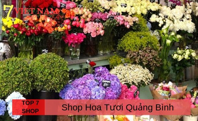 Top 7 Shop Hoa Tươi Quảng Bình