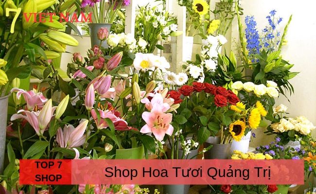 Top 7 Shop Hoa Tươi Tại Quảng Trị