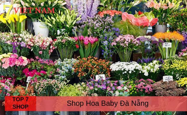 Top 7 Shop Hoa Baby Đà Nẵng
