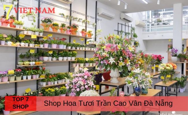 Top 7 Shop Hoa Đường Trần Cao Vân Đà Nẵng