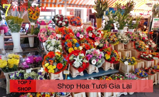 Top 7 Shop Hoa Tươi Tại Pleiku Gia Lai