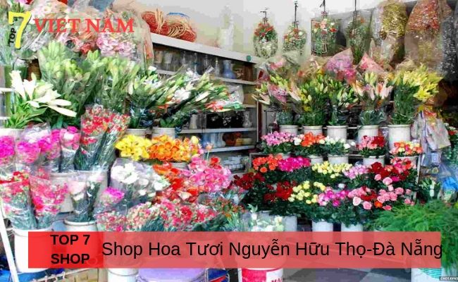 Top 7 Shop Hoa Đường Nguyễn Hữu Thọ Đà Nẵng