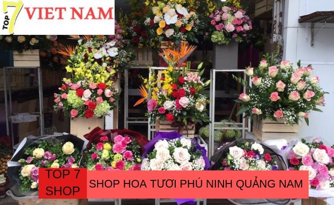 Top 7 Shop Hoa Phú Ninh Quảng Nam