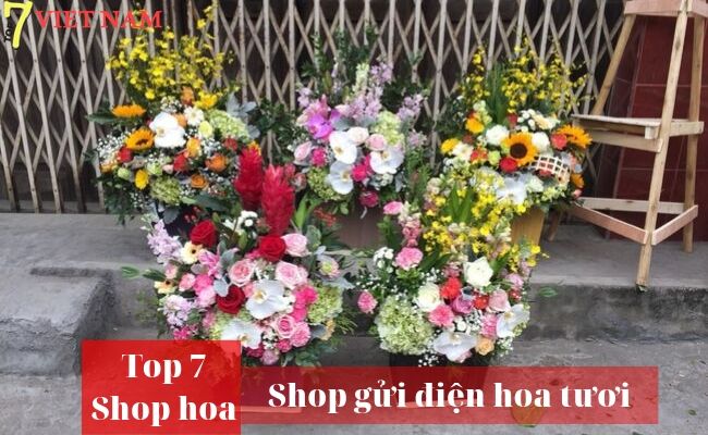 Top 7 Shop Điện Hoa Huế