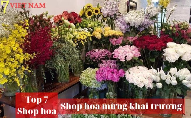 Top 7 Shop Hoa Khai Trương Huế
