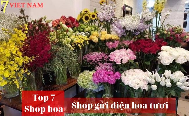 Top 7 Shop Điện Hoa Huế