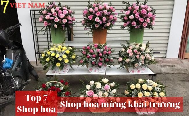Top 7 Shop Hoa Khai Trương Huế