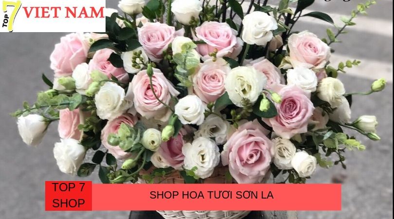 Top 7 Shop Hoa Tươi Sơn La