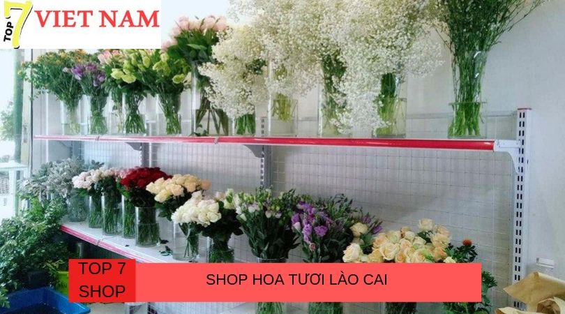 Top 7 Shop Hoa Tươi Lào Cai