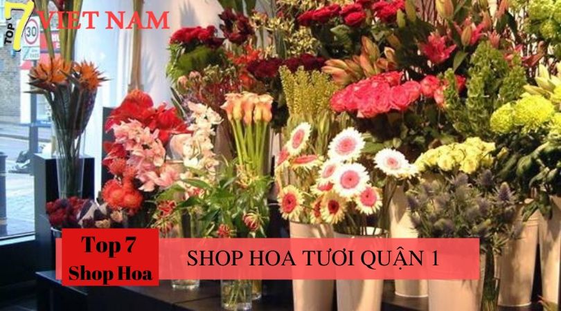 Top 7 Shop Hoa Tươi Quận 1 tp.HCM