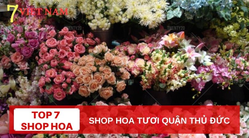 Top 7 Shop Hoa Tươi Quận Thủ Đức TPHCM