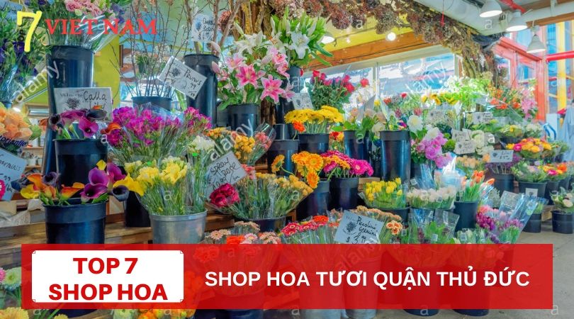 Top 7 Shop Hoa Tươi Quận Thủ Đức TPHCM