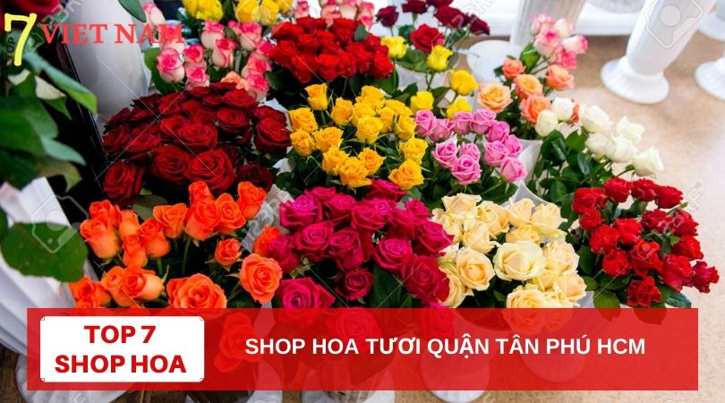Top 7 Shop Hoa Tươi Quận Tân Phú TPHCM