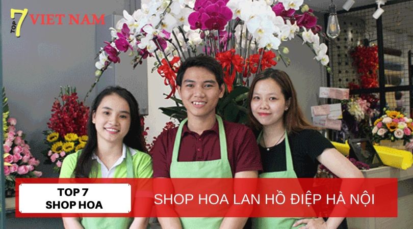 Top 7 Shop Hoa Lan Hồ Điệp Hà Nội