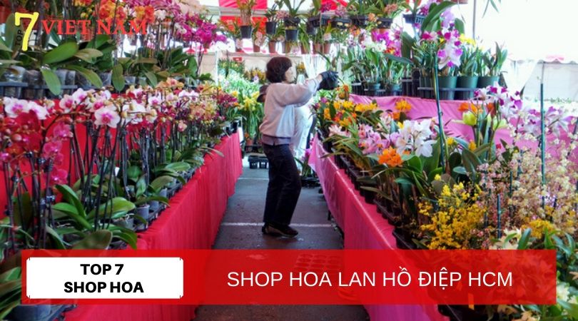 Top 7 Shop Hoa Lan Hồ Điệp TPHCM