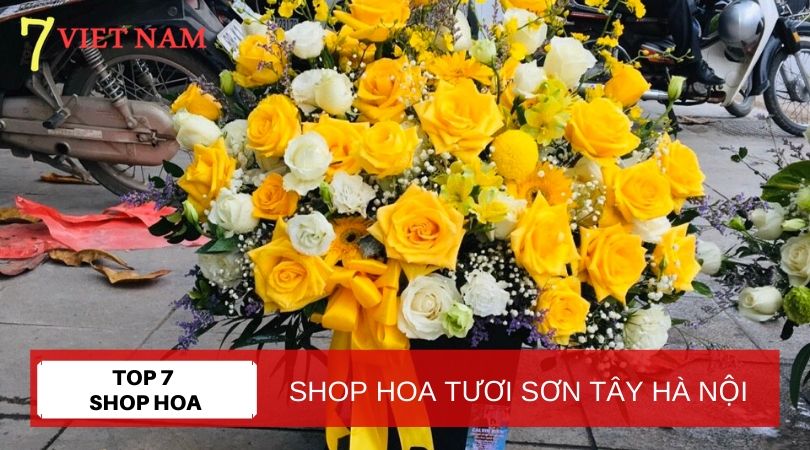 Top 7 Shop Hoa Tươi Thị Xã Sơn Tây Hà Nội