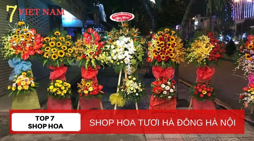 Top 7 Shop Hoa Tươi Quận Hà Đông Hà Nội