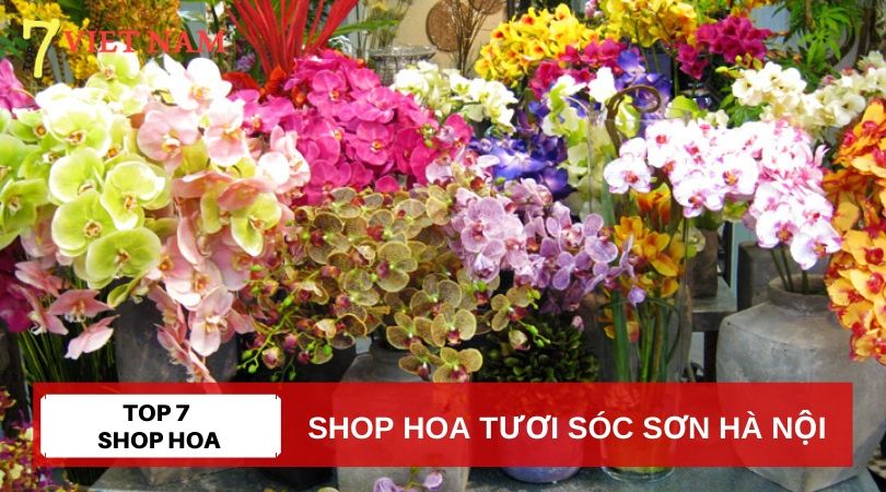 Top 7 Shop Hoa Tươi Huyện Sóc Sơn Hà Nội