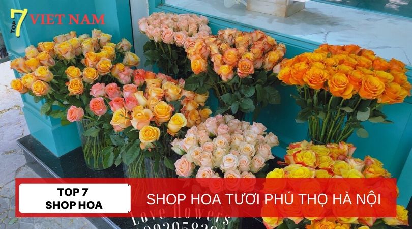 Top 7 Shop Hoa Tươi Huyện Đan Phượng Hà Nội