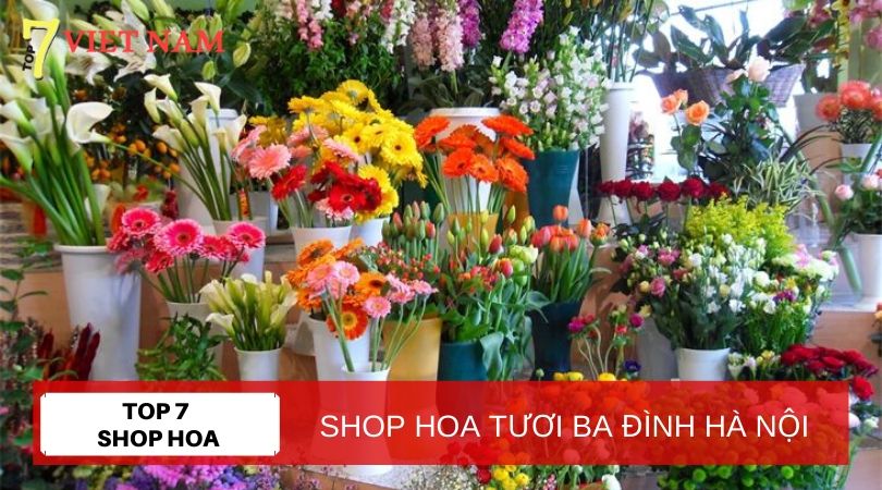 Top 7 Shop Hoa Tươi Quận Ba Đình Hà Nội