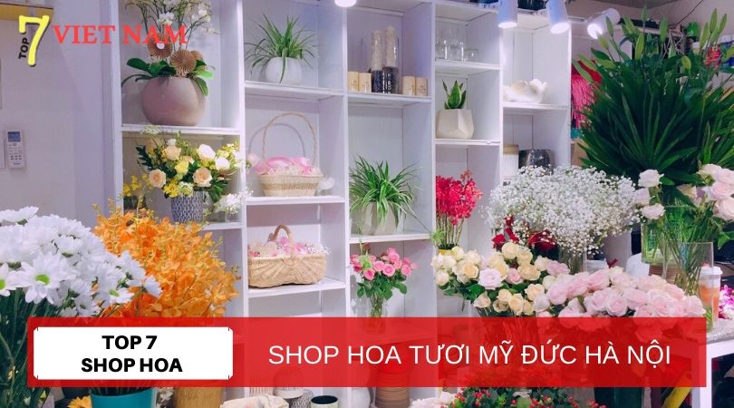 Top 7 Shop Hoa Tươi Huyện Mỹ Đức Hà Nội