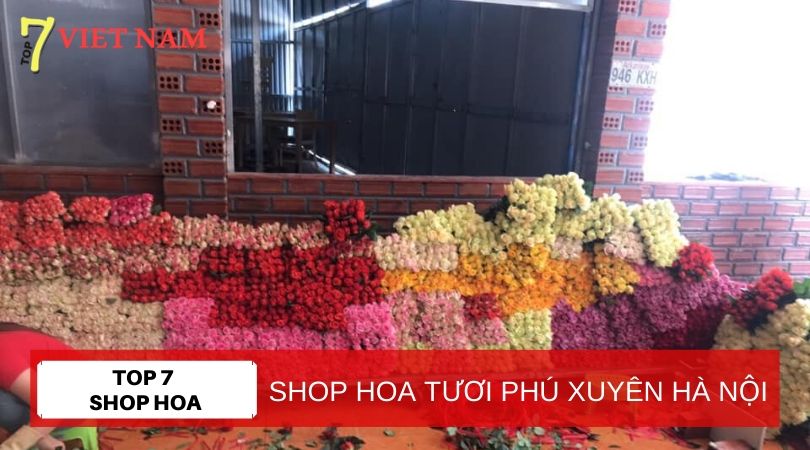 Top 7 Shop Hoa Tươi Huyện Phú Xuyên Hà Nội