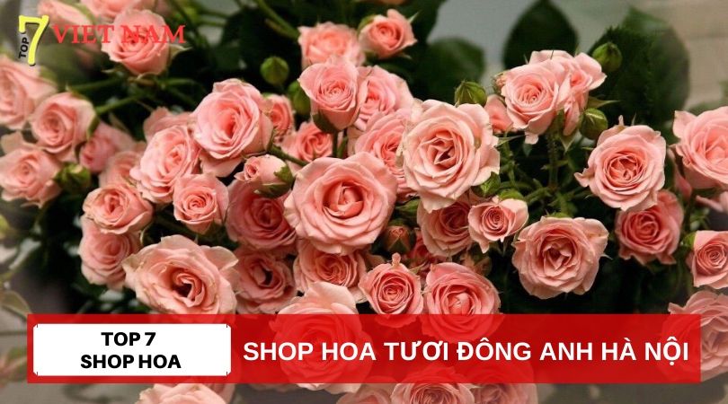 Top 7 Shop Hoa Tươi Huyện Đông Anh Hà Nội