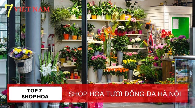 Top 7 Shop Hoa Tươi Quận Đống Đa Hà Nội