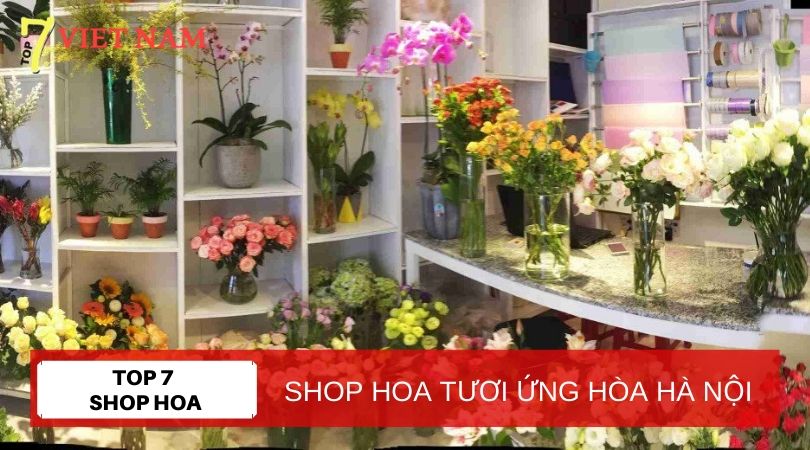 Top 7 Shop Hoa Tươi Huyện Ứng Hòa Hà Nội