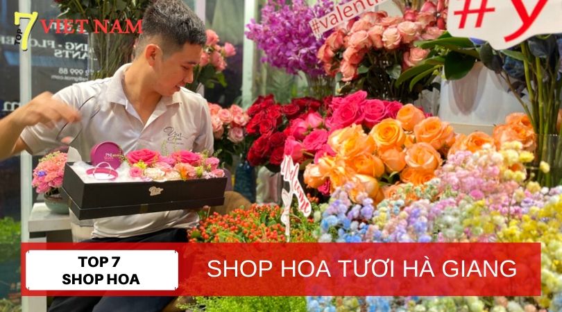 Top 7 Shop Hoa Tươi Hà Giang