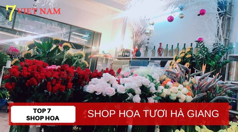 Top 7 Shop Hoa Tươi Hà Giang