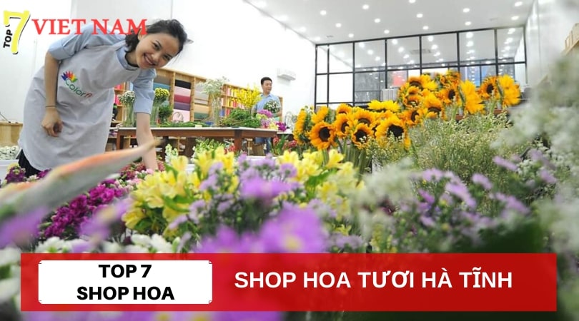 Top 7 Shop Hoa Tươi Hà Tĩnh