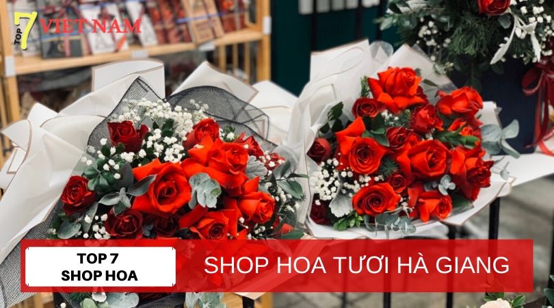 Top 7 Shop Hoa Tươi Hà Giang