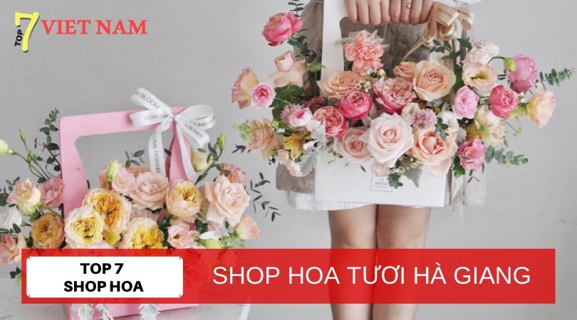 Top 7 Shop Hoa Tươi Hà Giang