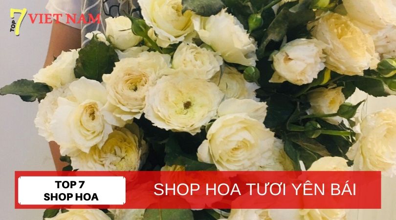 Top 7 Shop Hoa Tươi Yên Bái