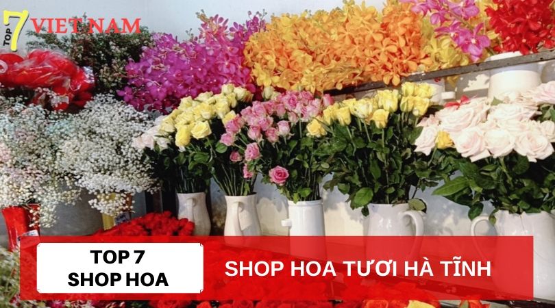 Top 7 Shop Hoa Tươi Hà Tĩnh