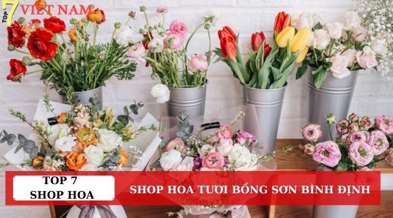Top 7 Shop Hoa Tươi Bồng Sơn Bình Định