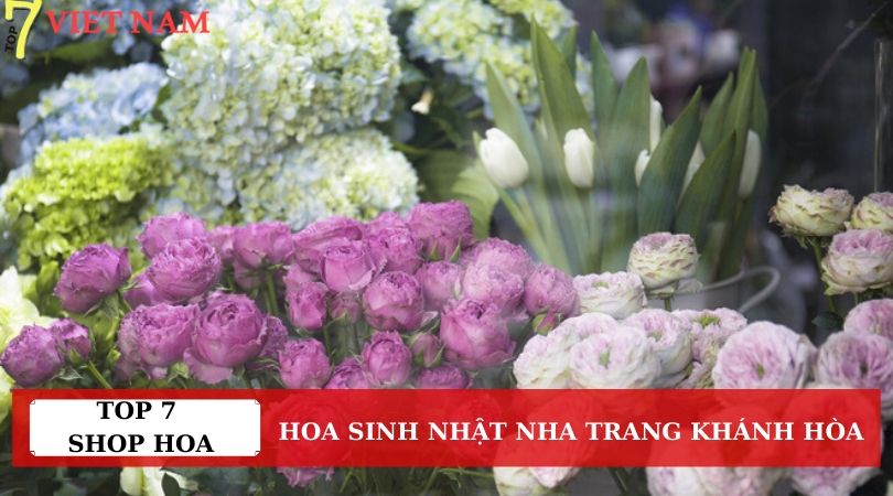Top 7 Shop Hoa Sinh Nhật Nha Trang Khánh Hòa