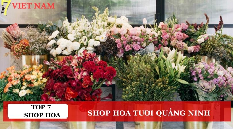 Top 7 Shop Hoa Tươi Quảng Ninh