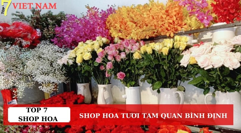 Top 7 Shop Hoa Tươi Tam Quan Bình Định