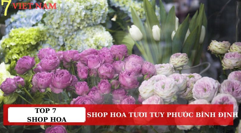 Top 7 Shop Hoa Tươi Tuy Phước Bình Định