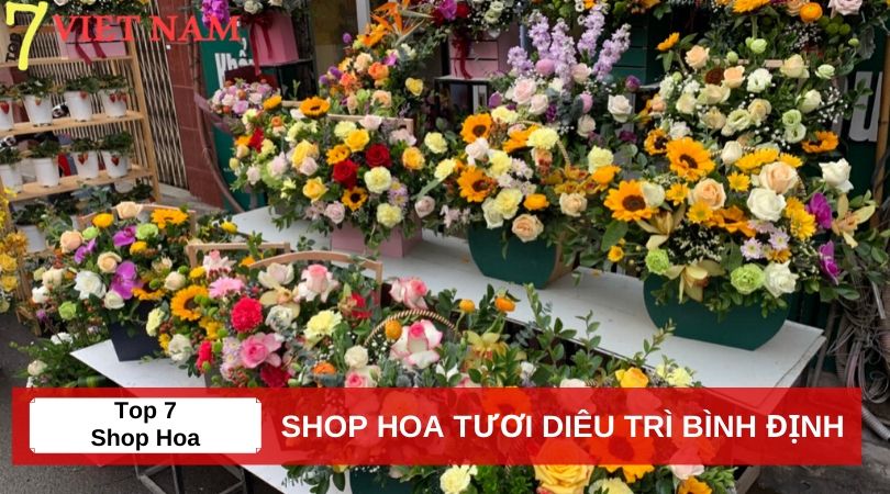 Top 7 Shop Hoa Tươi Diêu Trì Bình Định 