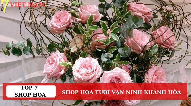 Top 7 Shop Hoa Tươi Huyện Vạn Ninh Khánh Hòa