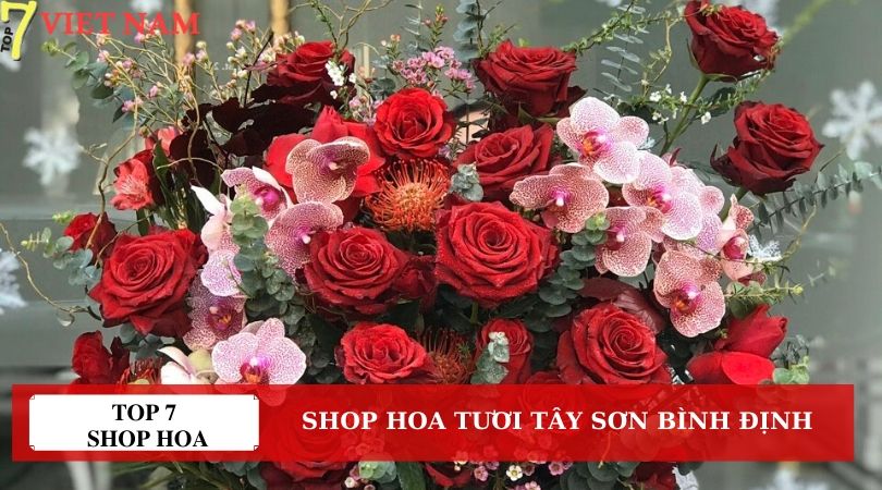 Top 7 Shop Hoa Tươi Tây Sơn Bình Định
