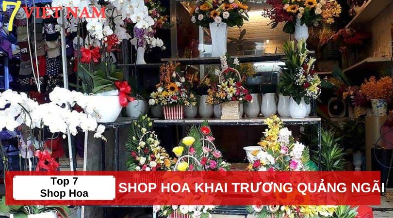 Top 7 Shop Hoa Khai Trương Quảng Ngãi 